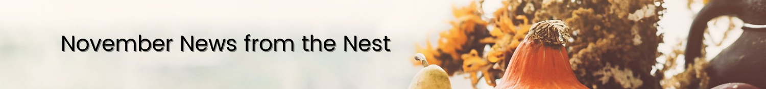 November '23 News from the Nest